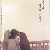 The Liar and His Lover DVD